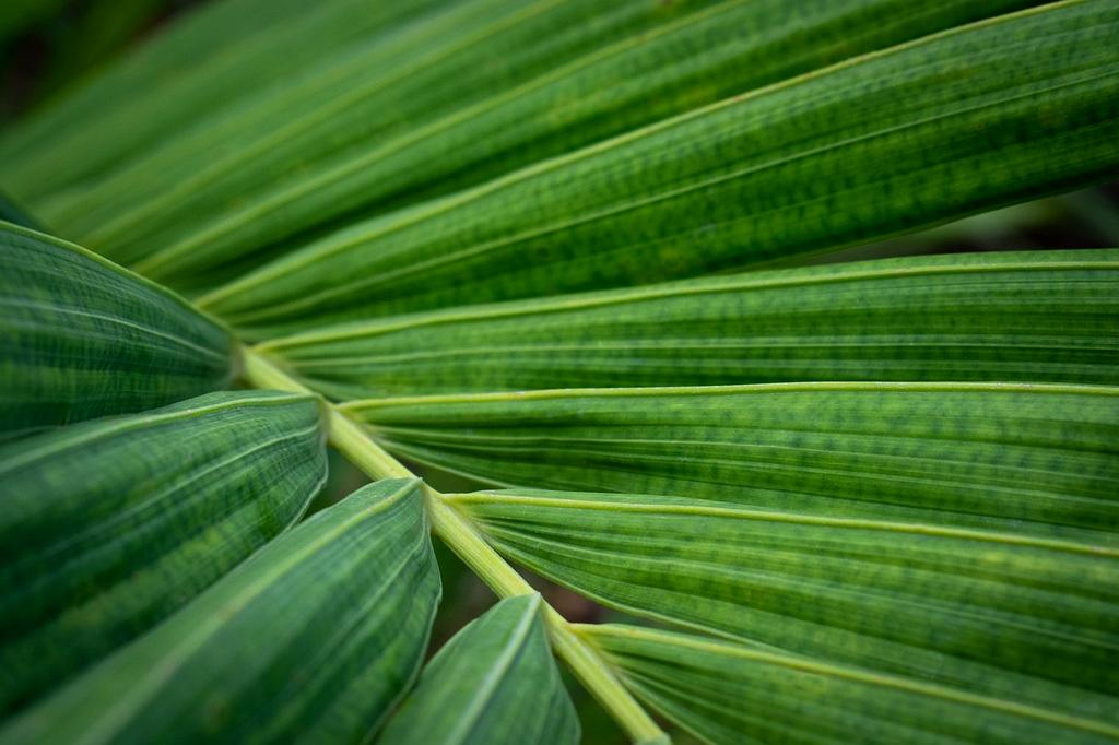 Eco-friendly ink cartridges on clean white backdrop
